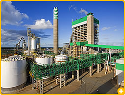 <u><b>La Autarquía</b></u>